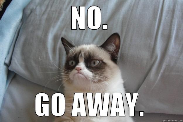 Grumpy Cat says go away